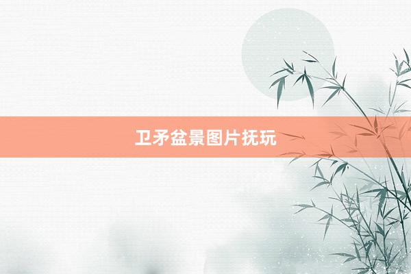 卫矛盆景图片抚玩